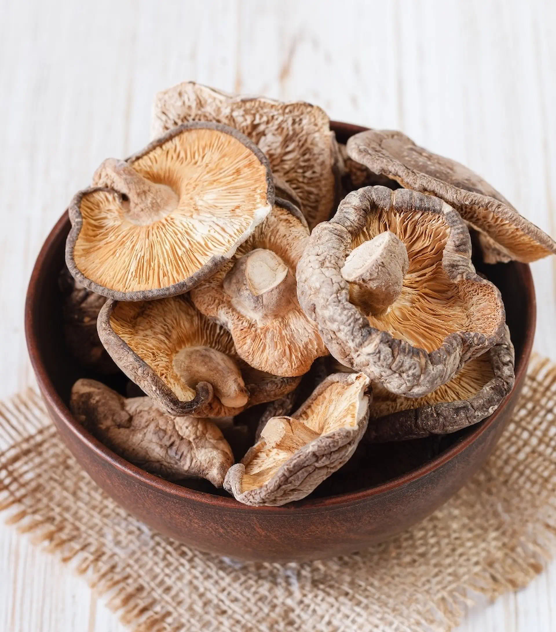 Dehydrated Mushroom