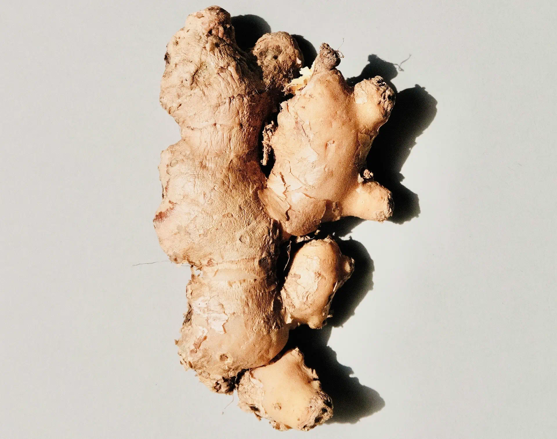 Ginger