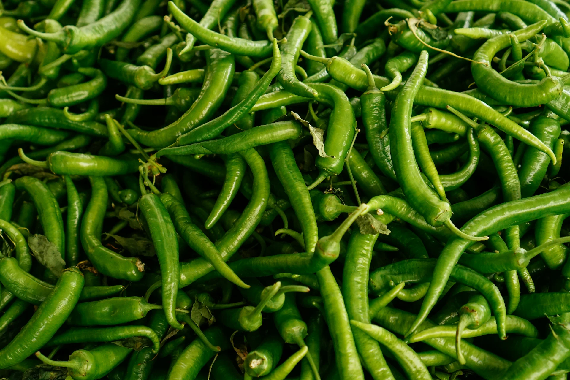 Fresh Green Chilli2