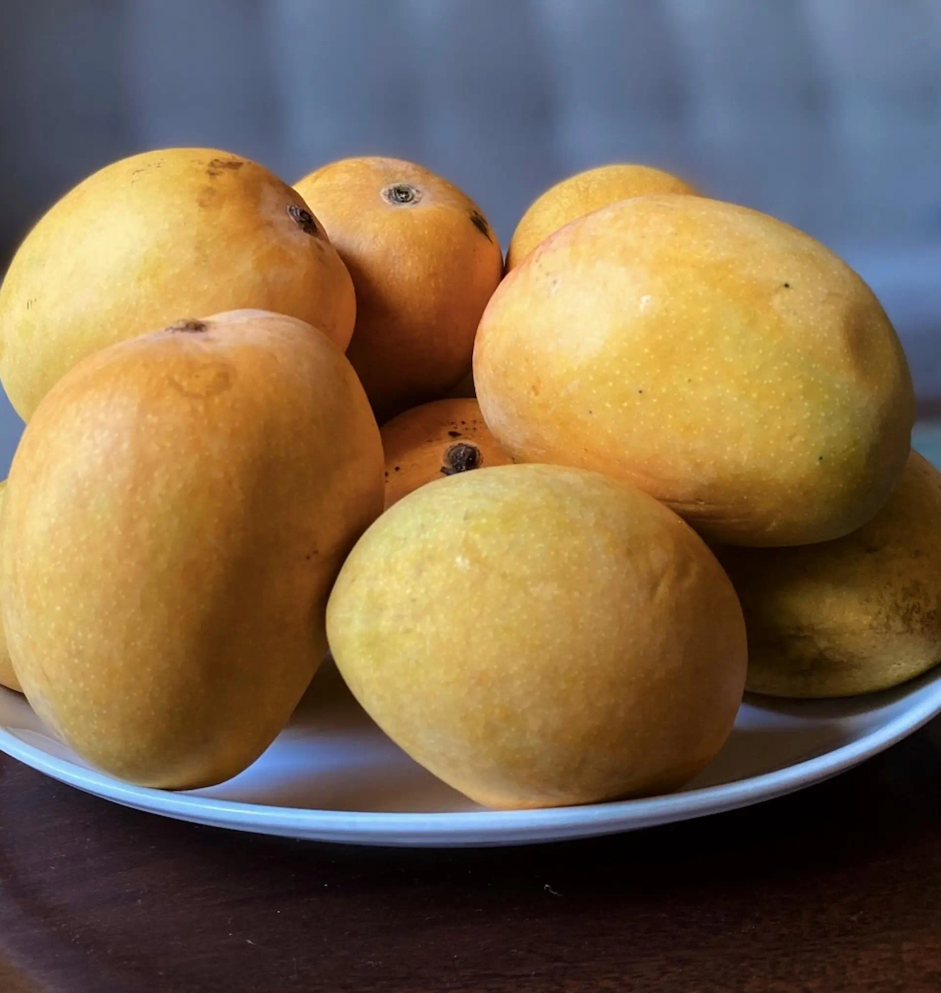 Mango Image 3